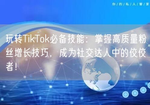 玩转TikTok必备技能：掌握高质量粉丝增长技巧，成为社交达人中的佼佼者！
