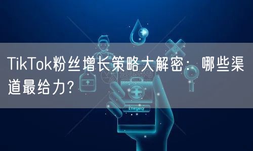 TikTok粉丝增长策略大解密：哪些渠道最给力？