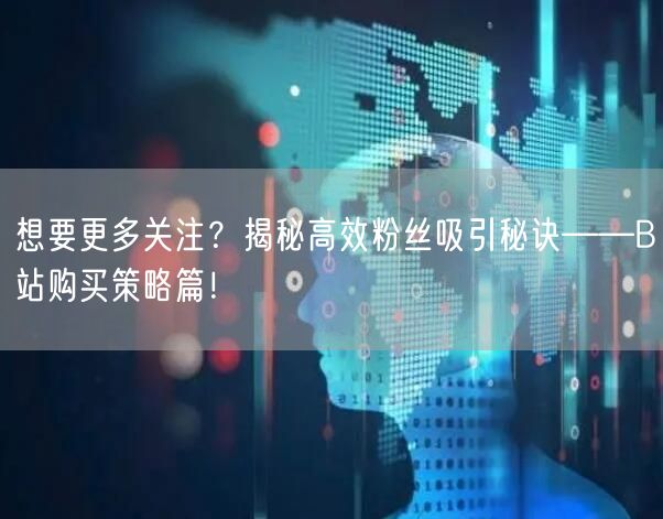 想要更多关注？揭秘高效粉丝吸引秘诀——B站购买策略篇！