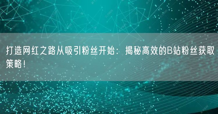 打造网红之路从吸引粉丝开始：揭秘高效的B站粉丝获取策略！