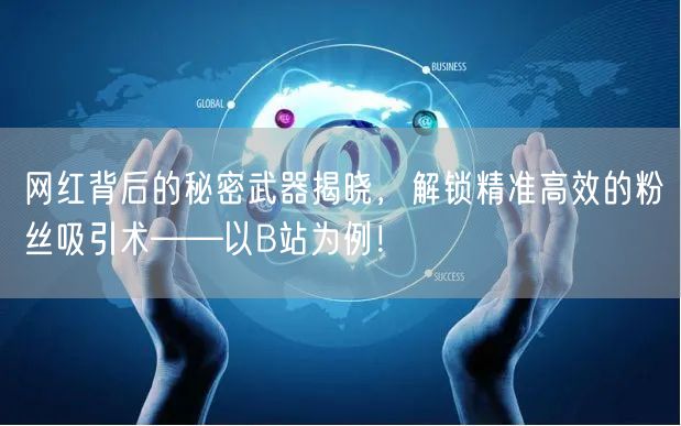 网红背后的秘密武器揭晓，解锁精准高效的粉丝吸引术——以B站为例！