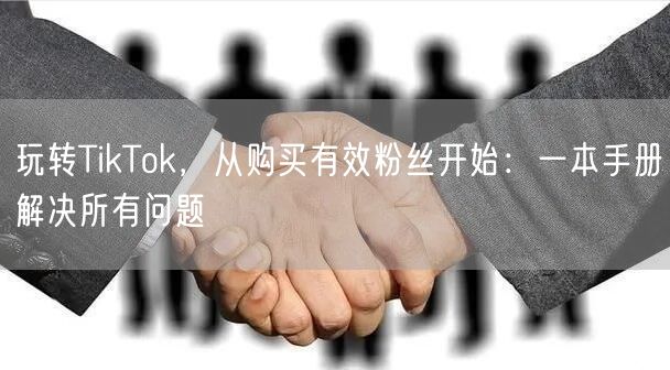 玩转TikTok，从购买有效粉丝开始：一本手册解决所有问题