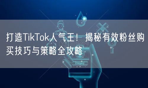 打造TikTok人气王！揭秘有效粉丝购买技巧与策略全攻略