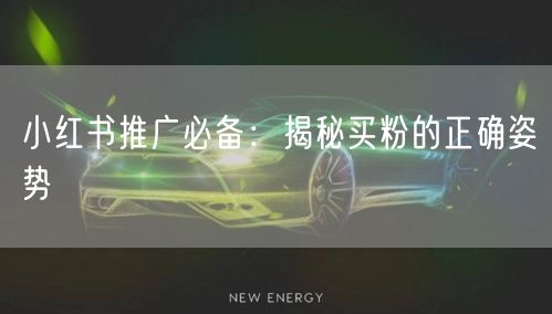 小红书推广必备：揭秘买粉的正确姿势