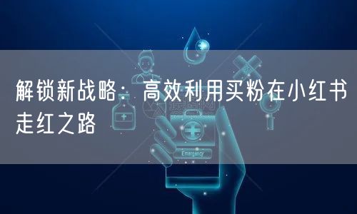 解锁新战略：高效利用买粉在小红书走红之路