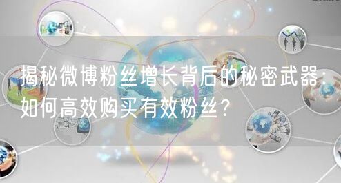 揭秘微博粉丝增长背后的秘密武器：如何高效购买有效粉丝？
