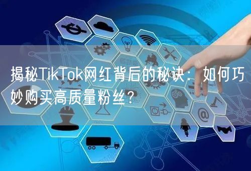 揭秘TikTok网红背后的秘诀：如何巧妙购买高质量粉丝？