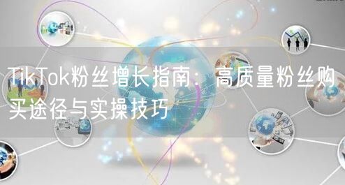 TikTok粉丝增长指南：高质量粉丝购买途径与实操技巧