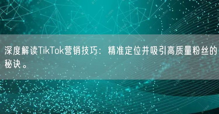 深度解读TikTok营销技巧：精准定位并吸引高质量粉丝的秘诀。