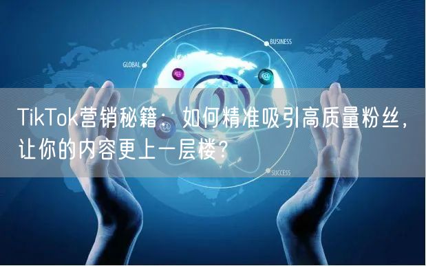 TikTok营销秘籍：如何精准吸引高质量粉丝，让你的内容更上一层楼？