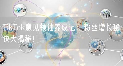 TikTok意见领袖养成记：粉丝增长秘诀大揭秘！