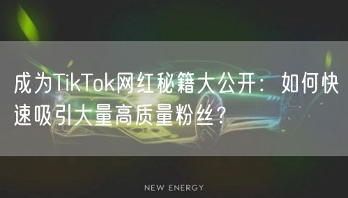 成为TikTok网红秘籍大公开：如何快速吸引大量高质量粉丝？