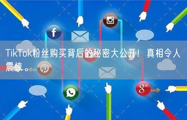 TikTok粉丝购买背后的秘密大公开！真相令人震惊。