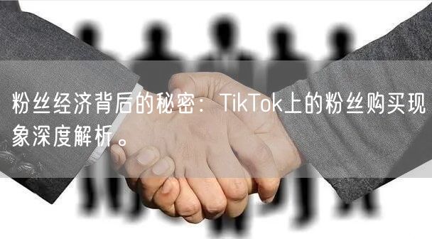 粉丝经济背后的秘密：TikTok上的粉丝购买现象深度解析。