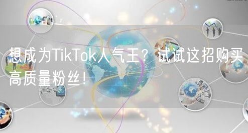 想成为TikTok人气王？试试这招购买高质量粉丝！