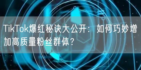 TikTok爆红秘诀大公开：如何巧妙增加高质量粉丝群体？