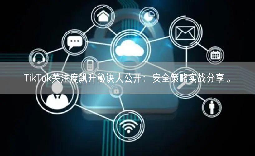 TikTok关注度飙升秘诀大公开：安全策略实战分享。