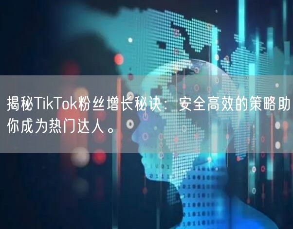 揭秘TikTok粉丝增长秘诀：安全高效的策略助你成为热门达人。
