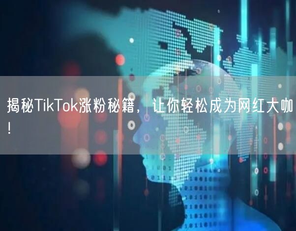 揭秘TikTok涨粉秘籍，让你轻松成为网红大咖！