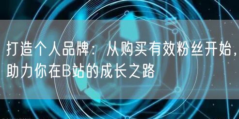 打造个人品牌：从购买有效粉丝开始，助力你在B站的成长之路