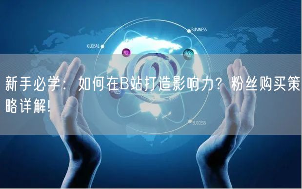 新手必学：如何在B站打造影响力？粉丝购买策略详解!