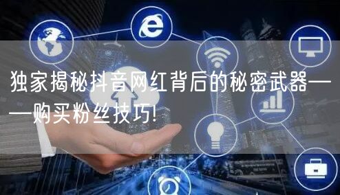 独家揭秘抖音网红背后的秘密武器——购买粉丝技巧!