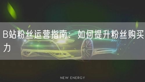 B站粉丝运营指南：如何提升粉丝购买力