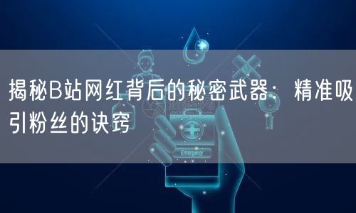 揭秘B站网红背后的秘密武器：精准吸引粉丝的诀窍