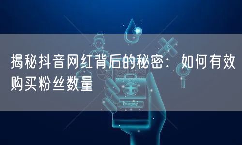 揭秘抖音网红背后的秘密：如何有效购买粉丝数量