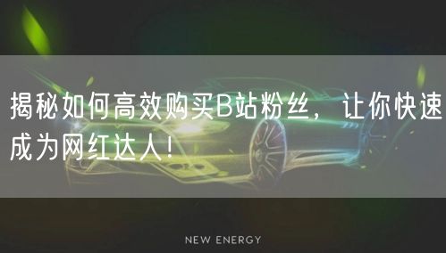 揭秘如何高效购买B站粉丝，让你快速成为网红达人！