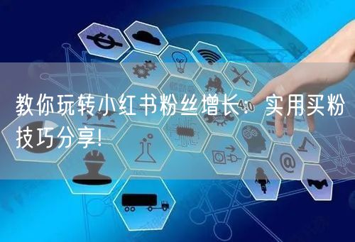 教你玩转小红书粉丝增长：实用买粉技巧分享!