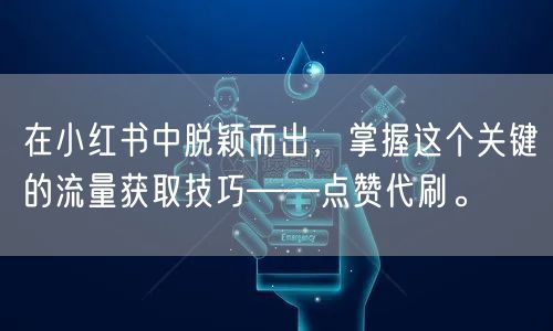 在小红书中脱颖而出，掌握这个关键的流量获取技巧——点赞代刷。