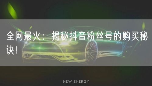 全网最火：揭秘抖音粉丝号的购买秘诀！