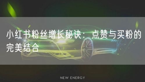 小红书粉丝增长秘诀：点赞与买粉的完美结合