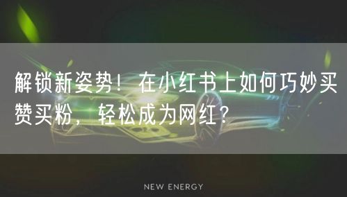 解锁新姿势！在小红书上如何巧妙买赞买粉，轻松成为网红？