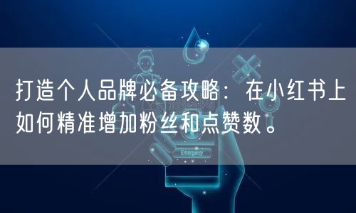 打造个人品牌必备攻略：在小红书上如何精准增加粉丝和点赞数。