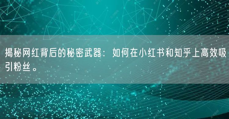 揭秘网红背后的秘密武器：如何在小红书和知乎上高效吸引粉丝。