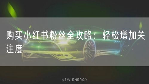 购买小红书粉丝全攻略：轻松增加关注度