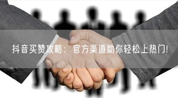 抖音买赞攻略：官方渠道助你轻松上热门!
