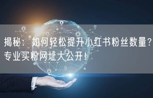 揭秘：如何轻松提升小红书粉丝数量？专业买粉网址大公开！