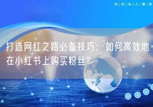 打造网红之路必备技巧：如何高效地在小红书上购买粉丝?