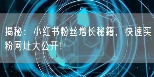 揭秘：小红书粉丝增长秘籍，快速买粉网址大公开！