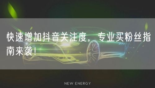 快速增加抖音关注度，专业买粉丝指南来袭！