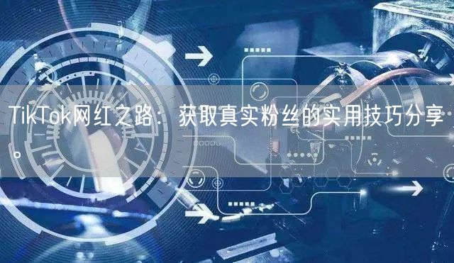 TikTok网红之路：获取真实粉丝的实用技巧分享。