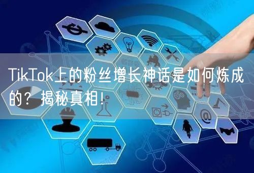 TikTok上的粉丝增长神话是如何炼成的？揭秘真相！